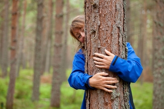 Forest bathing (c) Mark Hamblin 2020 Vision