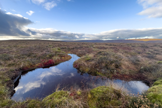 Peat+ Announcement