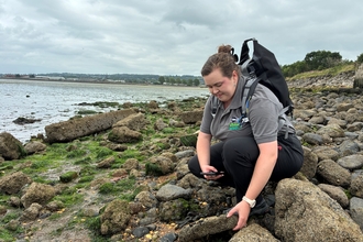 Tori on the shore 