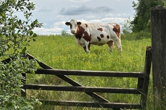 Farming with Nature