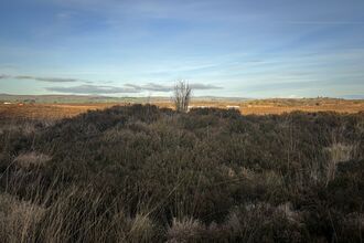 Cairn at The Murrins