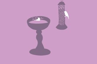 An illustration of a hanging bird feeder with a bird feeding on it next to a bird bath with a bird bathing in it