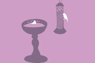 Bird feeder illustration 