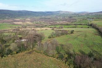 Lenamore Wood recently planted out 