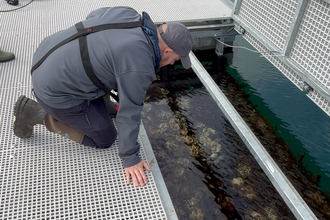 Nick looking into Glenarm Pontoon 