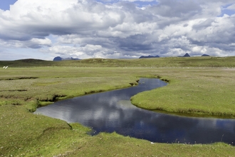 Saltmarsh