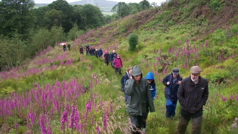 Cottage Farm walking event