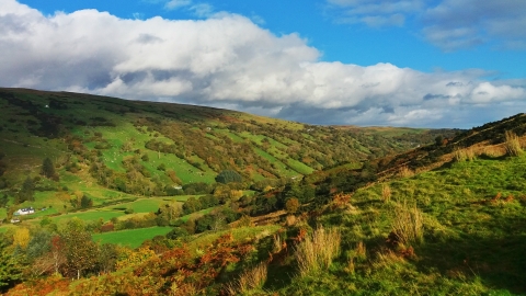 Glendun Nature Reserve