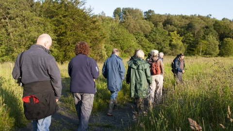 Over 50's ramble