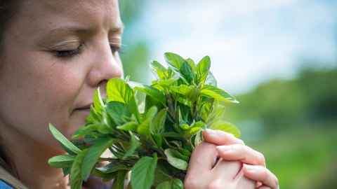 Foraging