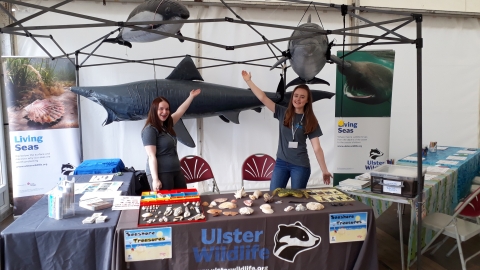 Living Seas stand