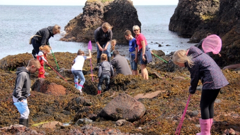 Rockpool Ramble