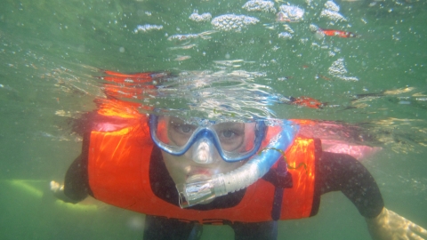 Snorkel Safari