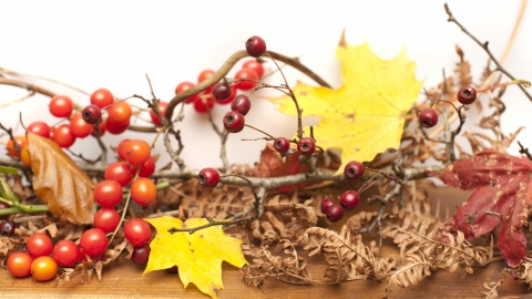 Autumn wreath