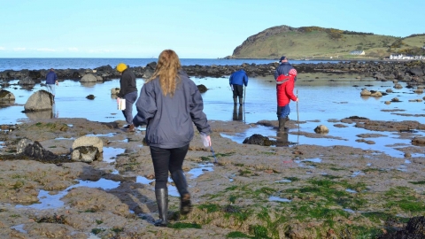 Shore search Survey