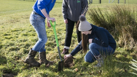 Crumlin YFC tree planting