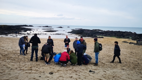 Egg Case Hunt