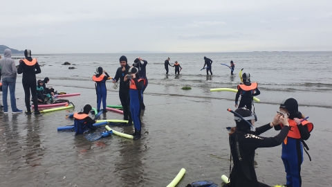 Snorkel at Glenarm