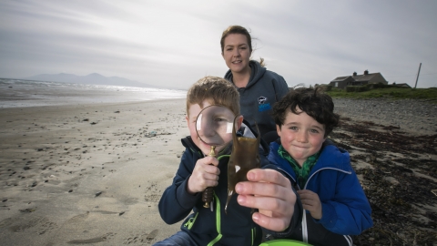 Kids looking for egg cases