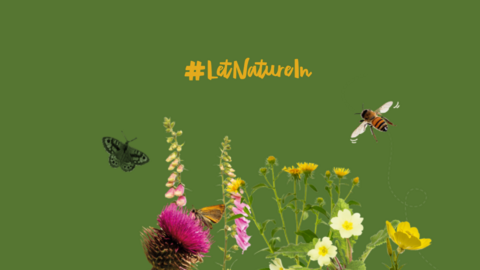 Let Nature In banner - V5