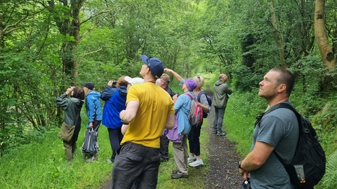 Ulster Wildlife member's look up and point to trees during an outdoor walk