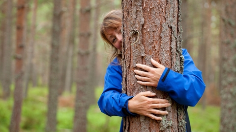 Forest bathing (c) Mark Hamblin 2020 Vision