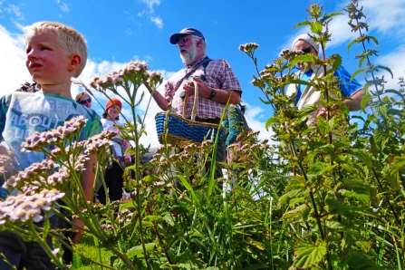 Coastal Foraging Groomsport Dermot 2017