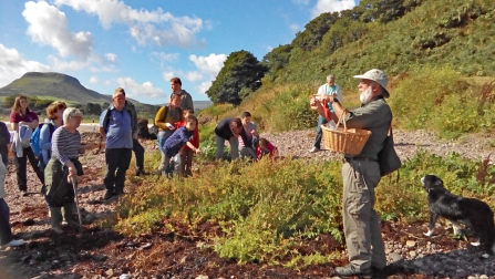 Coastal Foraging Cushendall 2016 2