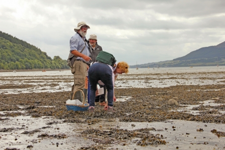 Coastal Foraging Rostrevor Dermot 2017