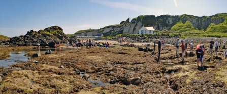 Ballintoy rockpooling 2017