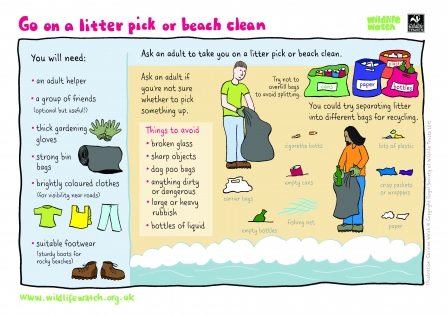 Litterpick activity