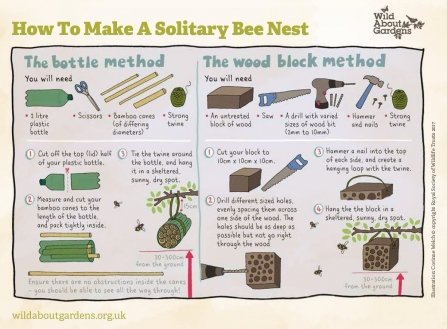 Solitary bee nest how to guide 