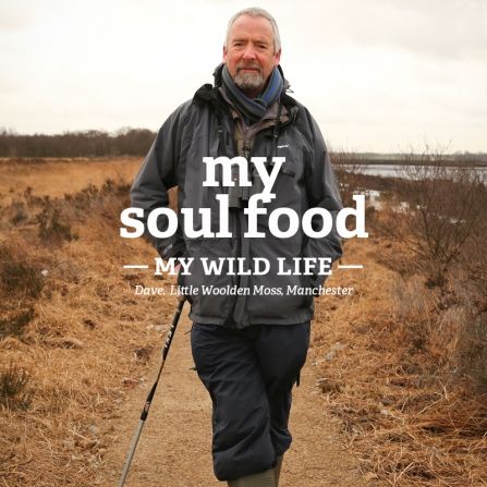 Dave stands on a nature reserve