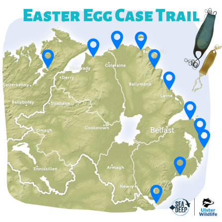 Easter Eggcase Trail