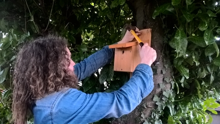 UW Nature Reserve Officer putting up a Bird Box