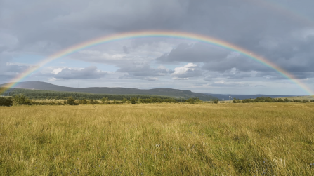Rainbow over the Belfast Hills