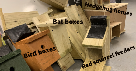 Box building at HQ