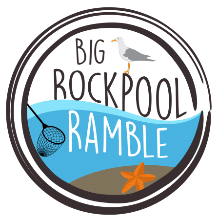 Big Rockpool Ramble Logo