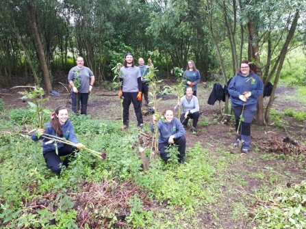 Himalayan balsam removal bog meadows July 2020