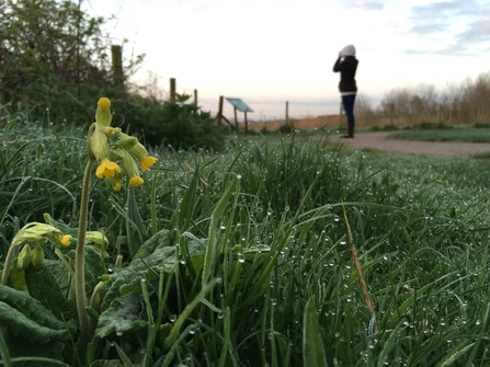 Person looking through binoculars at nature reserve