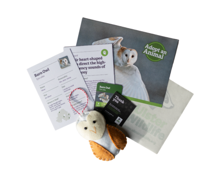 Barn owl sample pack