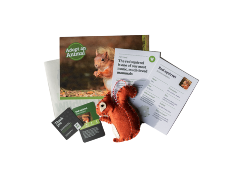 Red squirrel sample pack