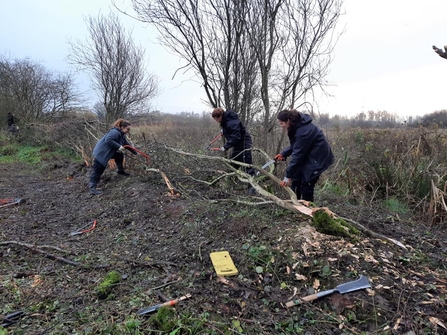 Bog Meadows, hedgelaying training