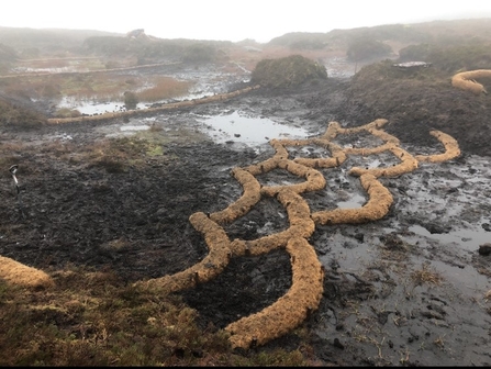 Peatland restoration on Cuilcagh Mountain