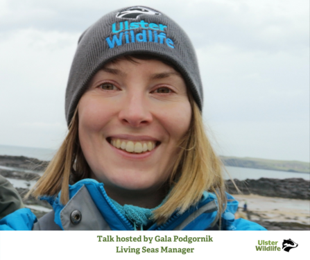 Talk hosted by Gala Podgornik, Living Seas Manager