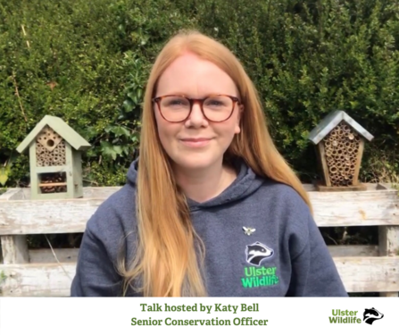Talk Hosted by Katy Bell