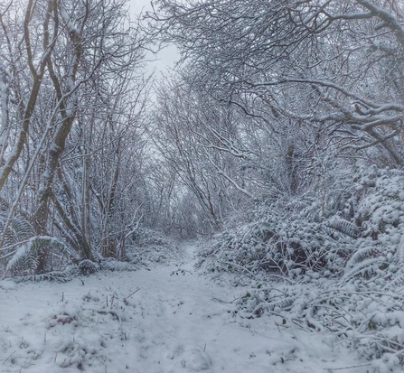 Straidkilly Nature Reserve (c) @ashleighmoran6