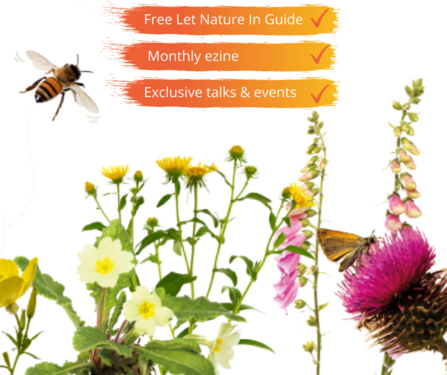 Let Nature in benefits