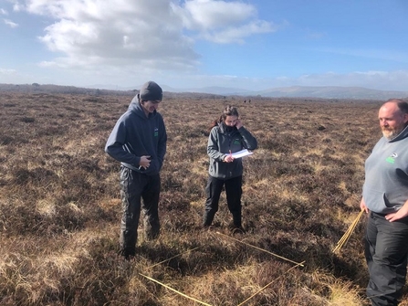 Condition assessments, Ballynahone bog