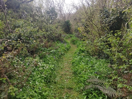 Straidkilly Nature Reserve 